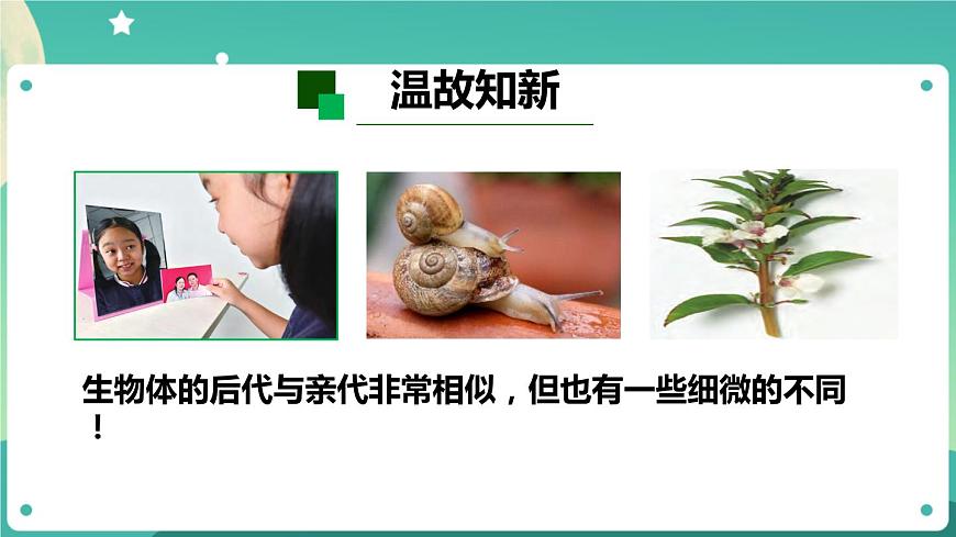 滅絕的遠(yuǎn)古動(dòng)物 第一課時(shí) 課件PPT第2頁(yè)