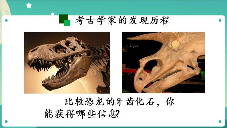 新人教鄂教版五上科学:2.7 灭绝的远古动物 PPT课件(共2课时)07
