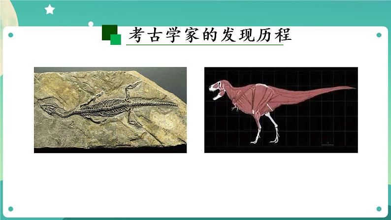 新人教鄂教版五上科学:2.7 灭绝的远古动物 PPT课件(共2课时)08