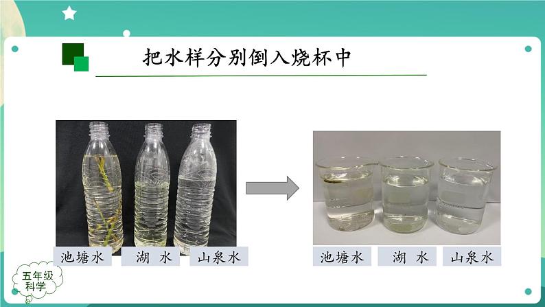 新人教鄂教版五上科学:3.8 水中的微小生物(第1课时)PPT课件+教案+内嵌视频08