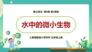 小学科学人教鄂教版 (2017)五年级上册8 水中的微小生物备课ppt课件