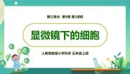 五年级上册9 显微镜下的细胞教案配套课件ppt