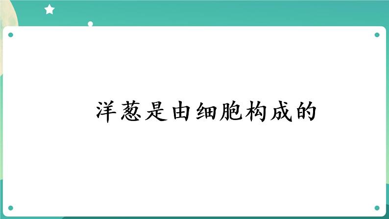 显微镜下的细胞 第二课时 课件PPT+视频第5页