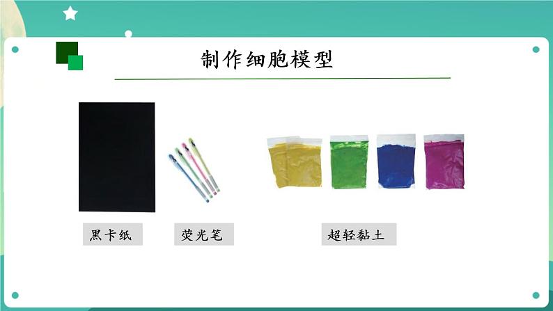 显微镜下的细胞 第二课时 课件PPT+视频第6页