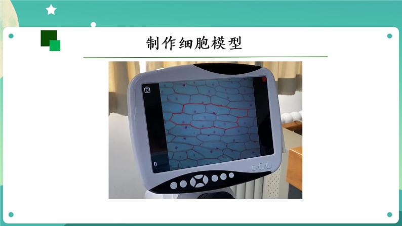显微镜下的细胞 第二课时 课件PPT+视频第7页