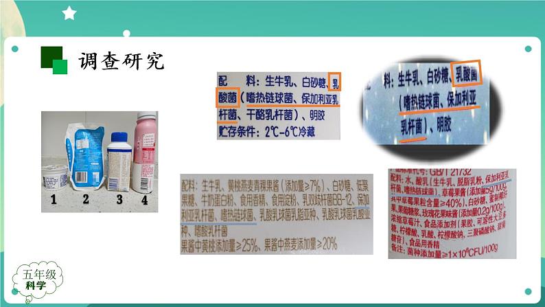 新人教鄂教版五上科学:3.10 多种多样的微生物 课件PPT+内嵌视频04
