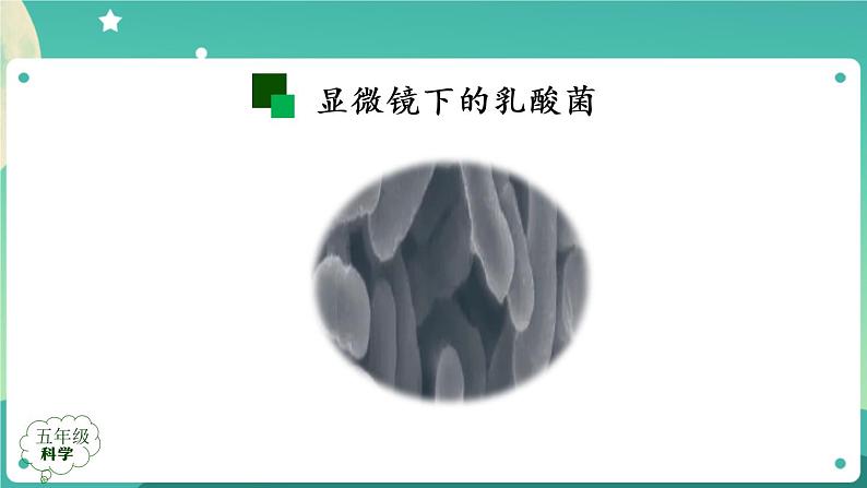新人教鄂教版五上科学:3.10 多种多样的微生物 课件PPT+内嵌视频08
