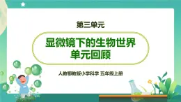 新人教鄂教版五上科学：第三单元 显微镜下的生物世界 回顾课件PPT+内嵌视频