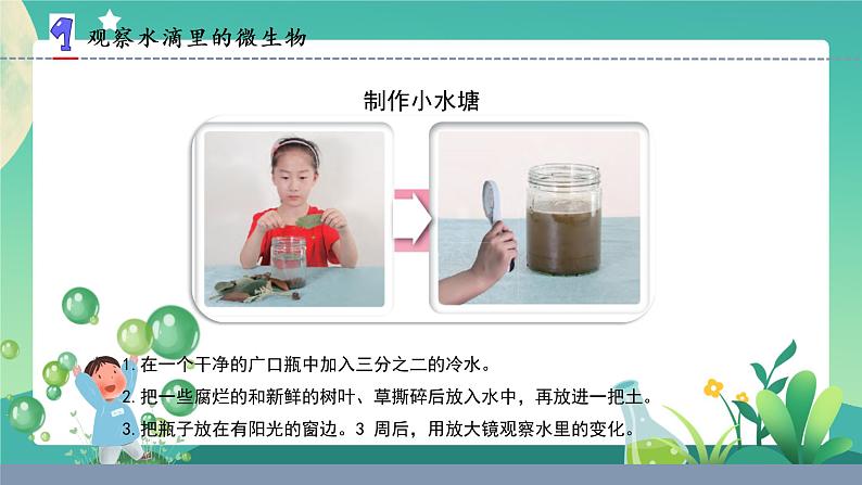 2.微小的生命体(课件)第2页