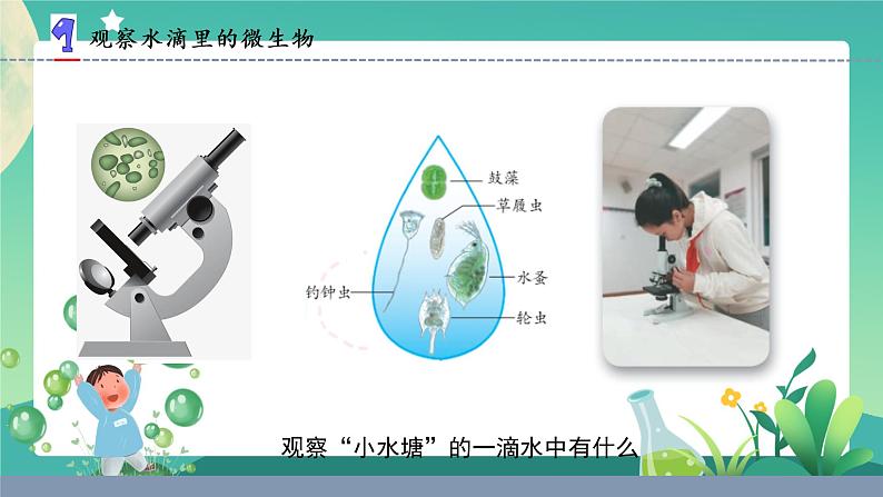 2.微小的生命体(课件)第3页