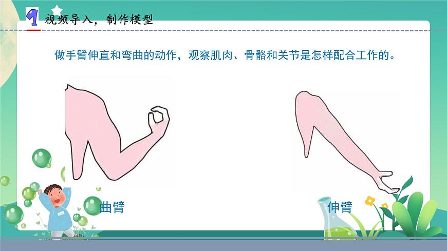 蘇教版五年級科學(xué)下冊2.8我們來仿生(課件)第4頁