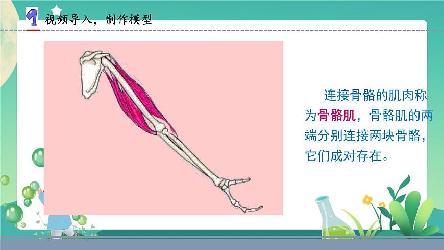 蘇教版五年級科學(xué)下冊2.8我們來仿生(課件)第5頁