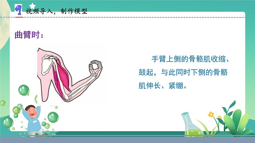 蘇教版五年級科學(xué)下冊2.8我們來仿生(課件)第6頁