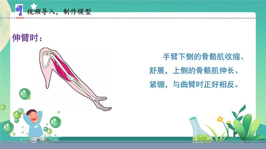 蘇教版五年級科學(xué)下冊2.8我們來仿生(課件)第7頁