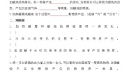 小学科学苏教版 (2017)六年级上册1 蜡烛的变化一课一练