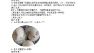 小学第一单元 显微镜下的世界3 发霉的馒头教案