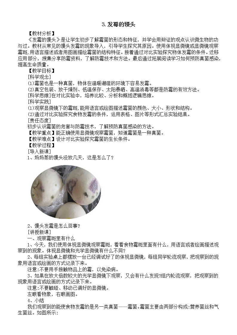 小学科学大象版六年级上册第一单元第3课《发霉的馒头》教案(2022秋)01