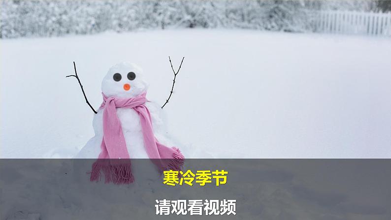 冀人版科二上 第9课 寒冷的冬天 视频引导PPT+视频素材03