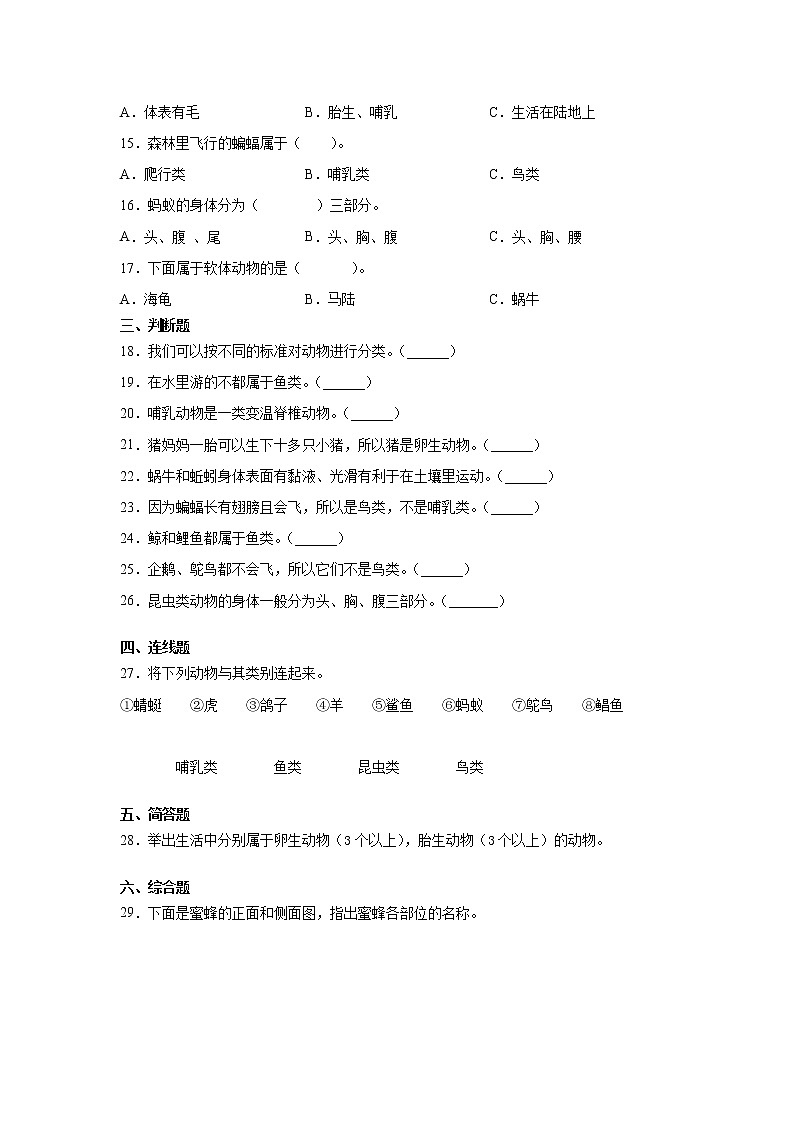 新大象版科學(xué)三上 2.3 動物的分類 同步練習(xí)含答案第2頁