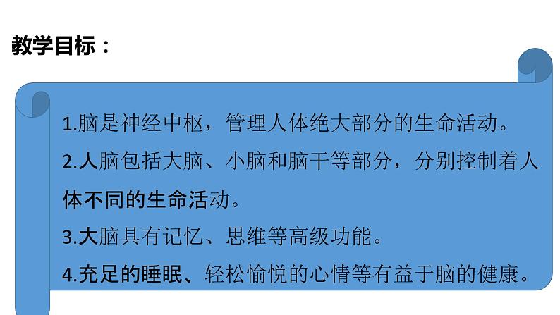 教科版(2017秋)五年级科学上册4.4 身体的“总指挥” (课件43张+素材)02