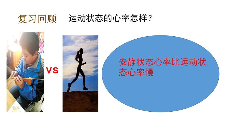 教科版(2017秋)五年级科学上册4.4 身体的“总指挥” (课件43张+素材)06