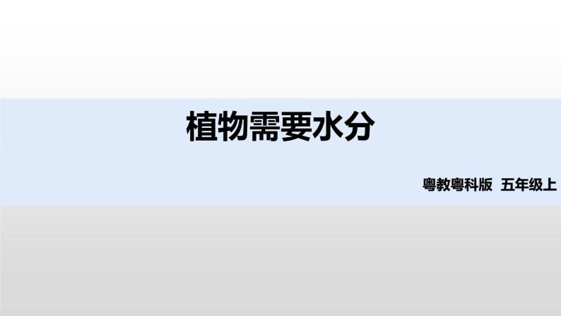 2022版粤教粤科版五年级上册第1课《植物需要水分》课件02