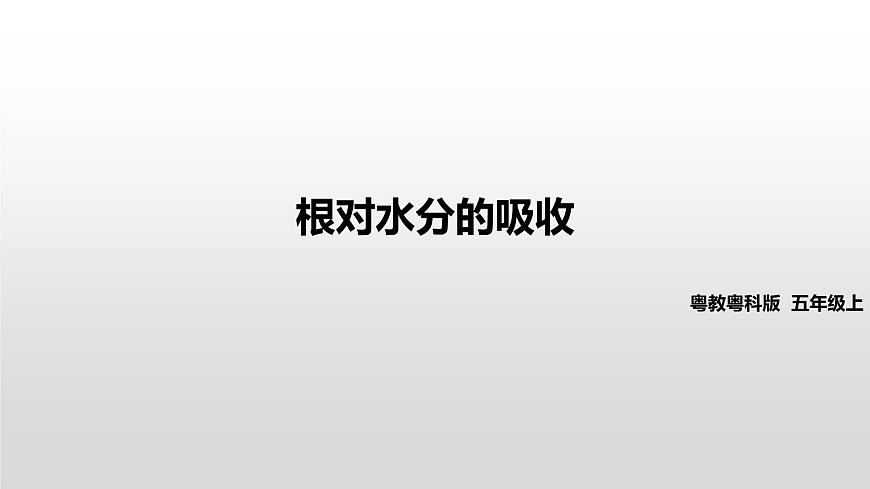 2022版粵教粵科版五年級(jí)上冊(cè)第2課《根對(duì)水分的吸收》課件第2頁