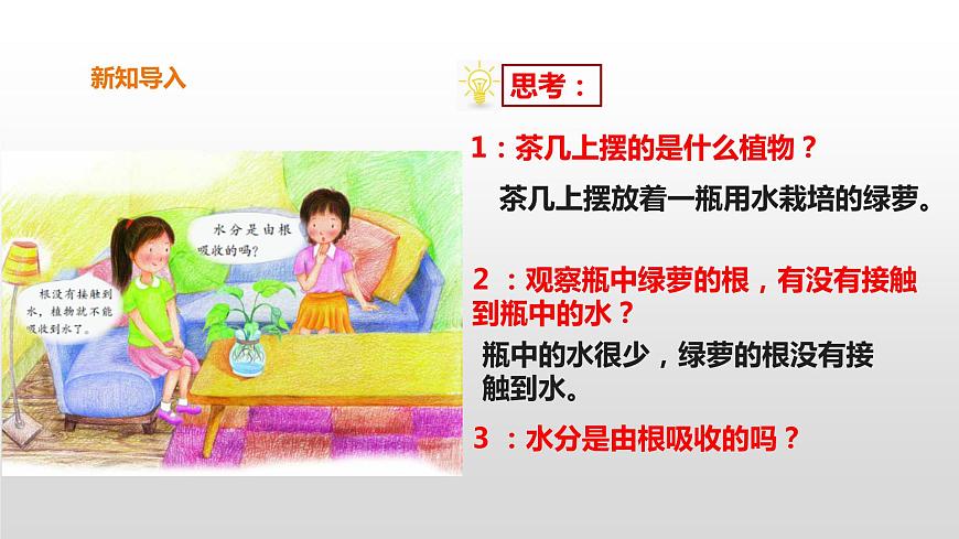 2022版粵教粵科版五年級(jí)上冊(cè)第2課《根對(duì)水分的吸收》課件第4頁