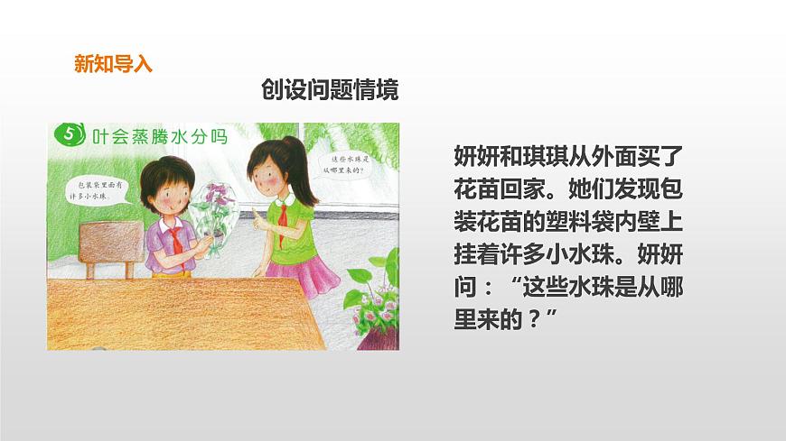 2022版粵教粵科版五年級(jí)上冊(cè)第5課《葉會(huì)蒸騰水分嗎》課件第3頁(yè)