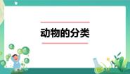 科学人教鄂教版 (2017)2 动物的分类教学ppt课件