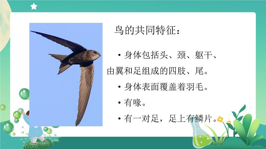 動物的分類（第一課時）PPT課件第2頁