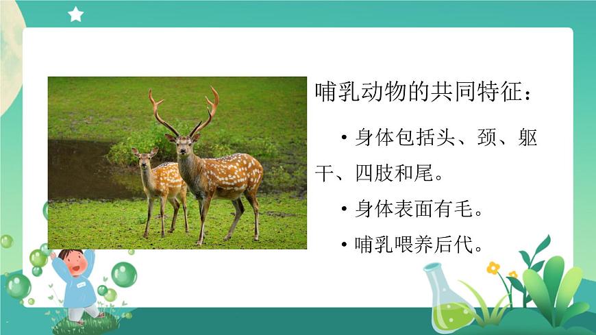 動物的分類（第一課時）PPT課件第3頁