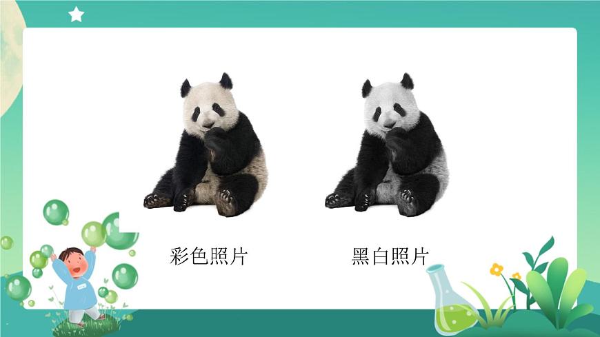 新人教鄂教版科學(xué)四上：1.3 我國的珍稀動物 PPT課件+視頻第3頁