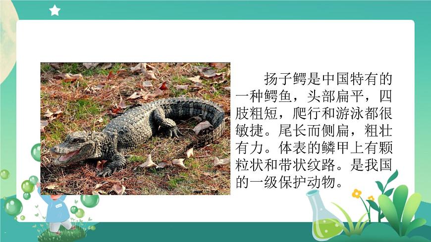 新人教鄂教版科學(xué)四上：1.3 我國的珍稀動物 PPT課件+視頻第7頁