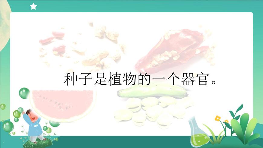 2.4 用種子繁殖 第一課時 PPT課件第8頁