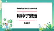 人教鄂教版 (2017)四年级上册4 用种子繁殖教学课件ppt