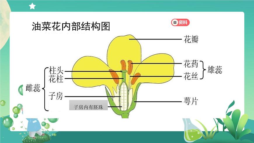 2.4 用種子繁殖 第三課時(shí) PPT課件+內(nèi)嵌視頻第6頁