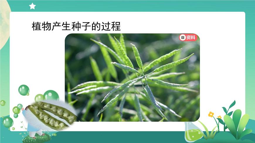 2.4 用種子繁殖 第三課時(shí) PPT課件+內(nèi)嵌視頻第8頁
