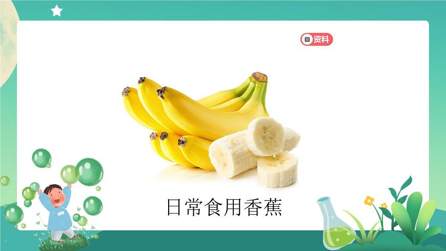 新人教鄂教版科學四上：2.5 不用種子怎樣繁殖 PPT課件第3頁