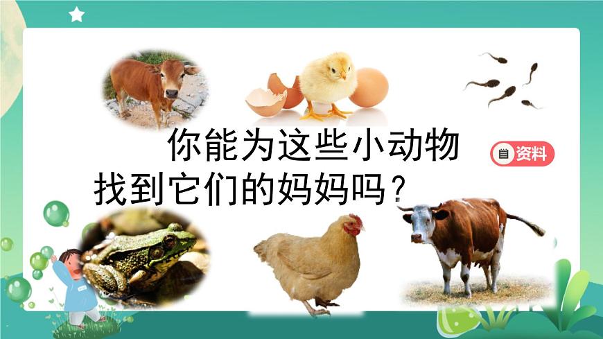新人教鄂教版科學(xué)四上：2.6 動(dòng)物的繁殖 PPT課件+視頻第5頁(yè)