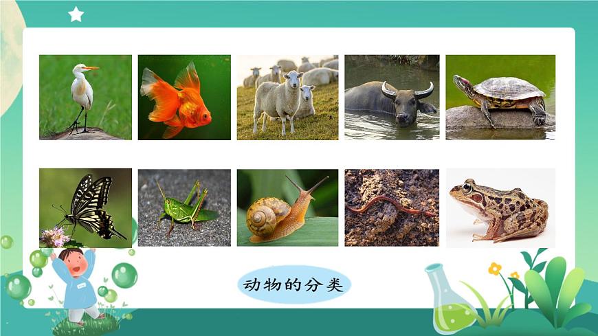新人教鄂教版科學(xué)四上：第一單元 多樣的動物 單元回顧 PPT課件+內(nèi)嵌視頻第4頁
