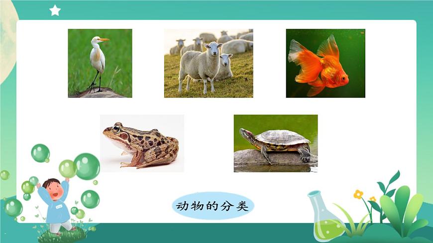 新人教鄂教版科學(xué)四上：第一單元 多樣的動物 單元回顧 PPT課件+內(nèi)嵌視頻第5頁
