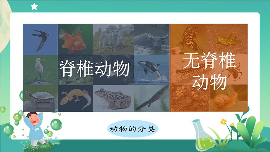 新人教鄂教版科學(xué)四上：第一單元 多樣的動物 單元回顧 PPT課件+內(nèi)嵌視頻第7頁
