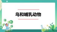 2020-2021学年1 鸟和哺乳动物教学ppt课件