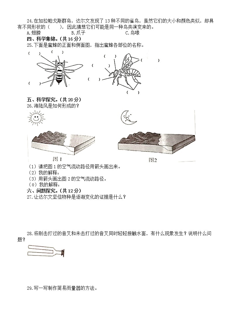 小学科学大象版三年级上册期末测试题3(附参考答案)第2页