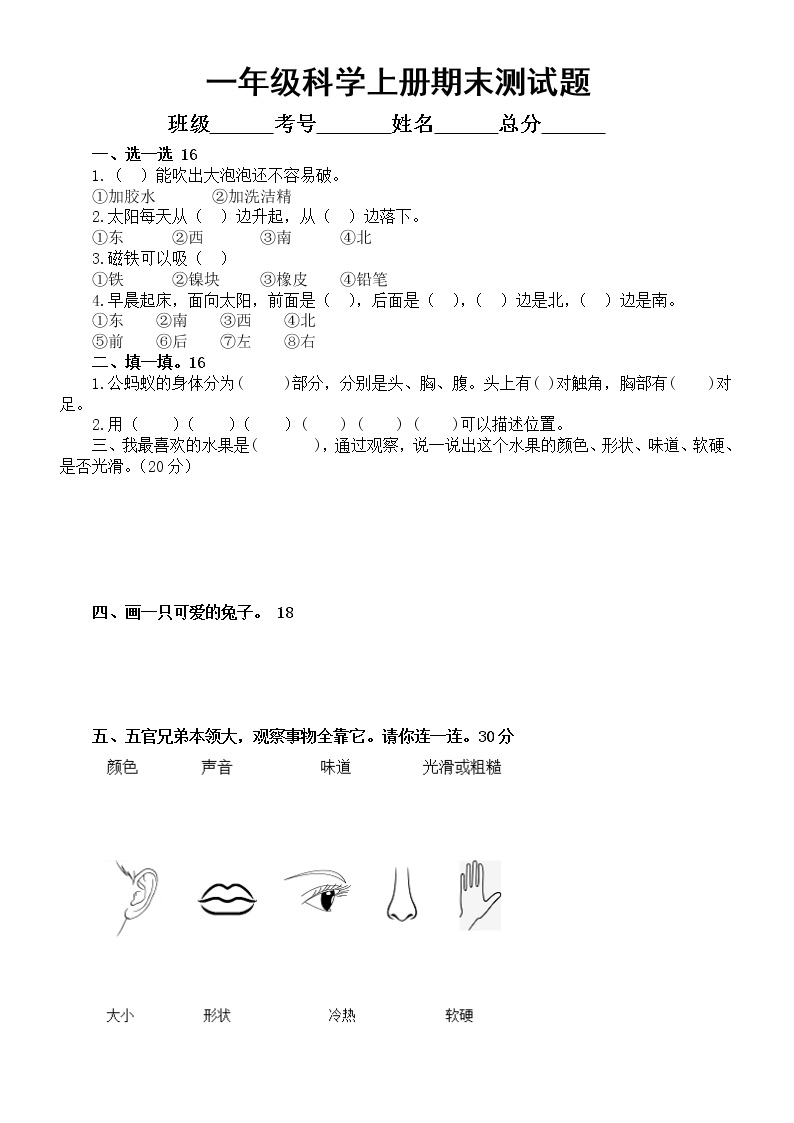 小学科学大象版一年级上册期末测试题2（附参考答案）