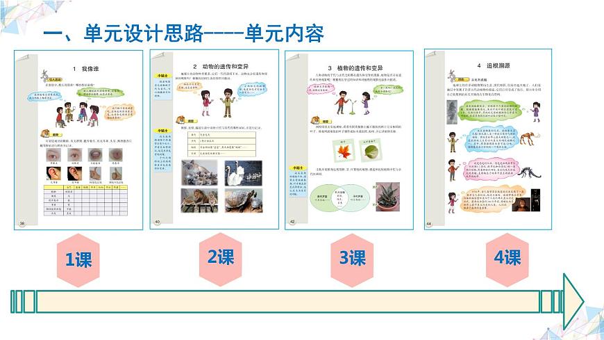 大象版六年級上冊第四單元《遺傳與變異》單元教材分析與實施建議（課件）第5頁