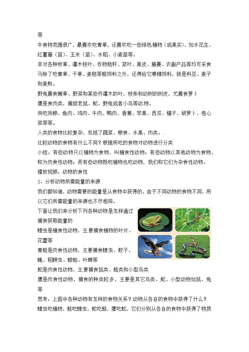 新冀人版科学六年级上册 第13课《动物与能量》课件PPT+教案02