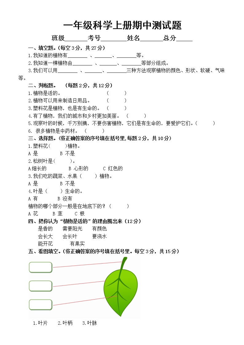 小学科学教科版一年级上册期中测试题（2022秋）（附参考答案）