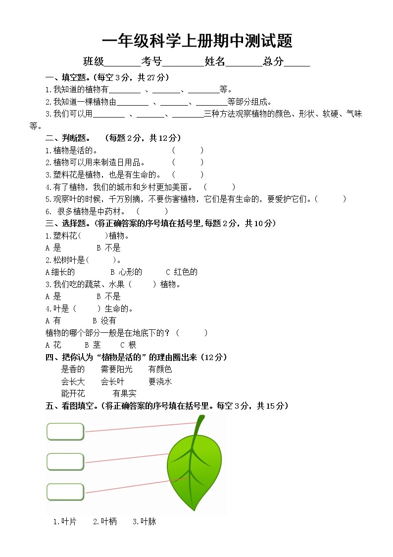 小学科学教科版一年级上册期中测试题（2022秋）（附参考答案）01